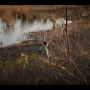 Brave_New_World_S01E09_2723.jpg