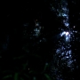 Chuck215-00000.jpg