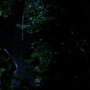 Chuck215-00001.jpg