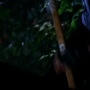 Chuck215-00003.jpg