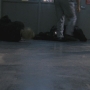 Chuck507-00049.jpg
