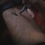 Chuck510-00510.jpg