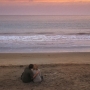 Filename=Chuck513-01284.jpg
Filesize=111KiB
Dimensions=1280x720
Date added=Oct 16, 2021 Chuck513-01284.jpg
