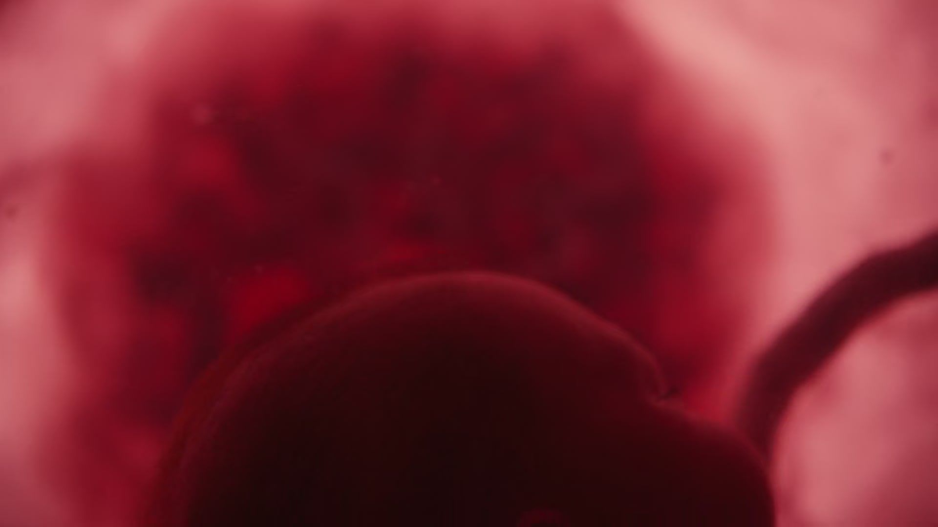 HOTN1_0017.jpg