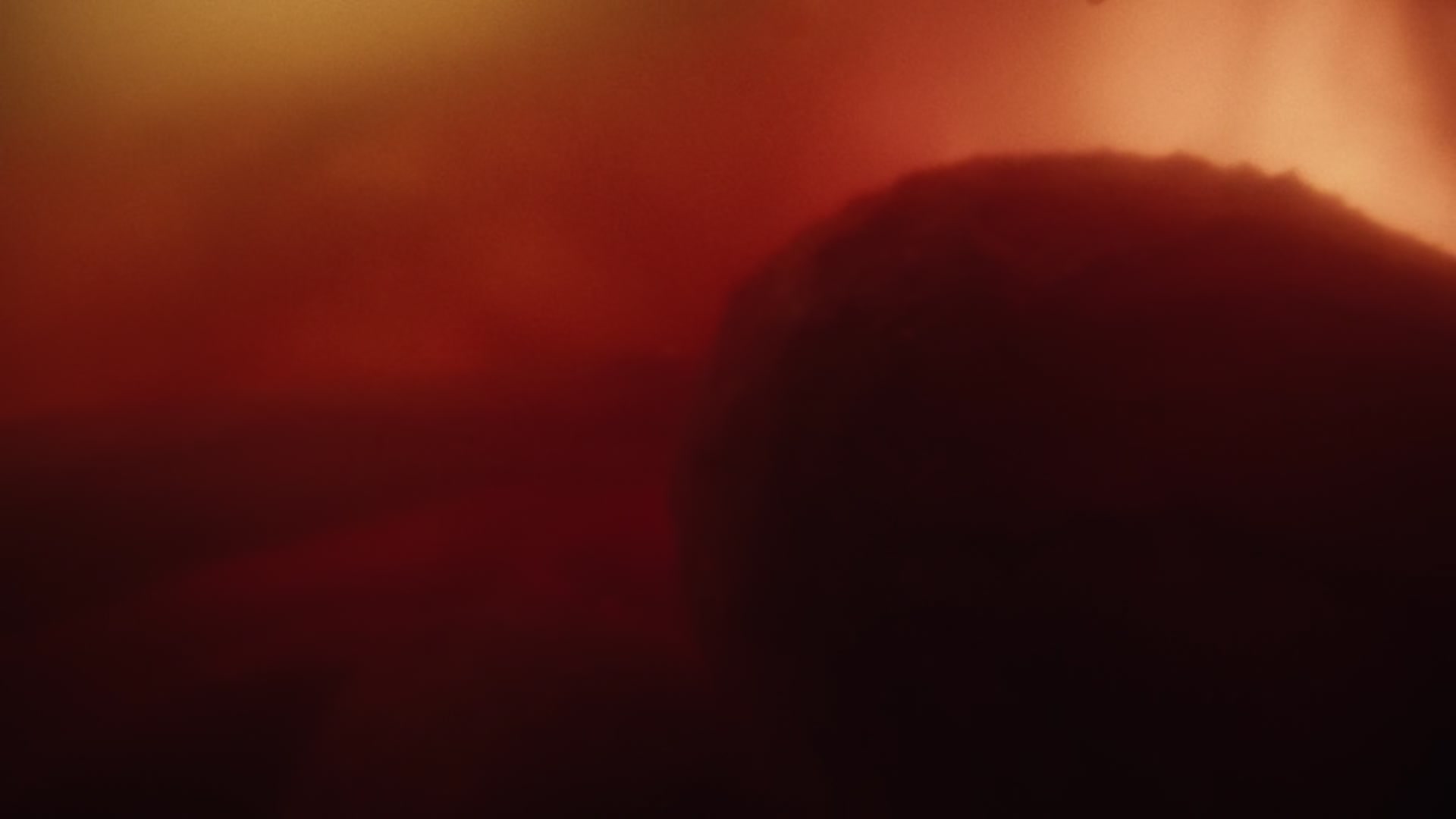 HOTN7_0350.jpg