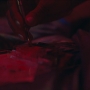HOTN7_1164.jpg