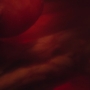 HOTN7_1410.jpg