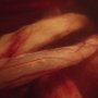 HOTN7_1411.jpg