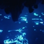 HOTN7_1433.jpg