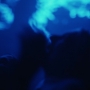 HOTN7_1442.jpg