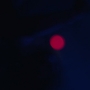 HOTN7_1447.jpg