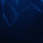 HOTN7_1498.jpg