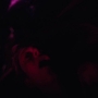 HOTN7_1551.jpg