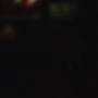 Euphoria201_0139.jpg