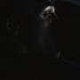 Euphoria201_0841.jpg