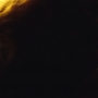 Euphoria203_0994.jpg