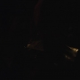 Euphoria203_1656.jpg