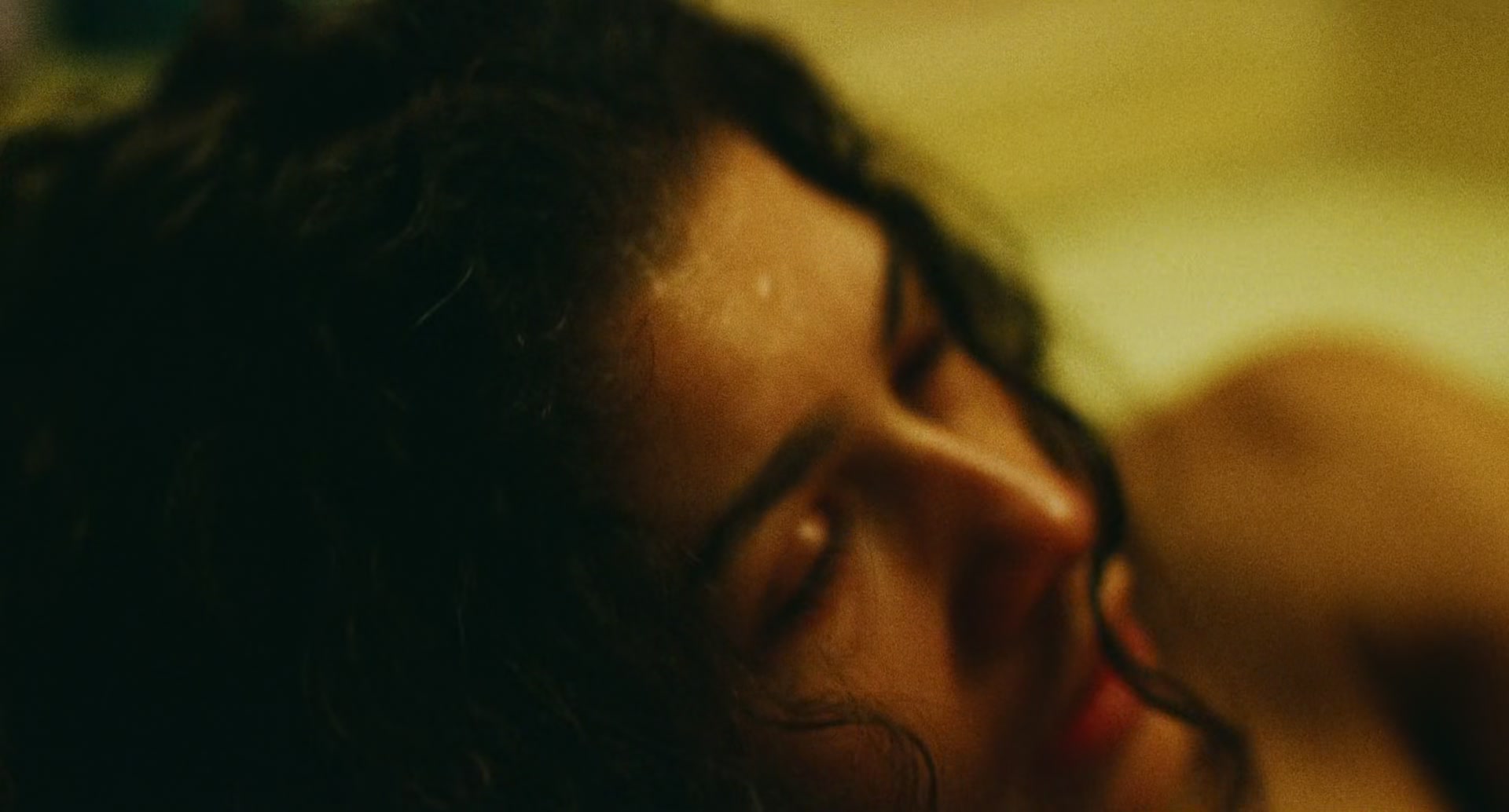 Euphoria205_1287.jpg