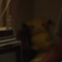 Euphoria205_0760.jpg