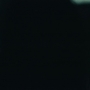 Euphoria205_0812.jpg