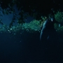 Euphoria205_1011.jpg