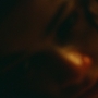 Euphoria205_1253.jpg