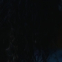 Euphoria205_1372.jpg