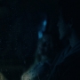 Euphoria206_1472.jpg
