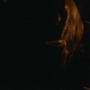 Euphoria207_0713.jpg
