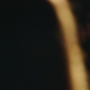 Euphoria207_0739.jpg