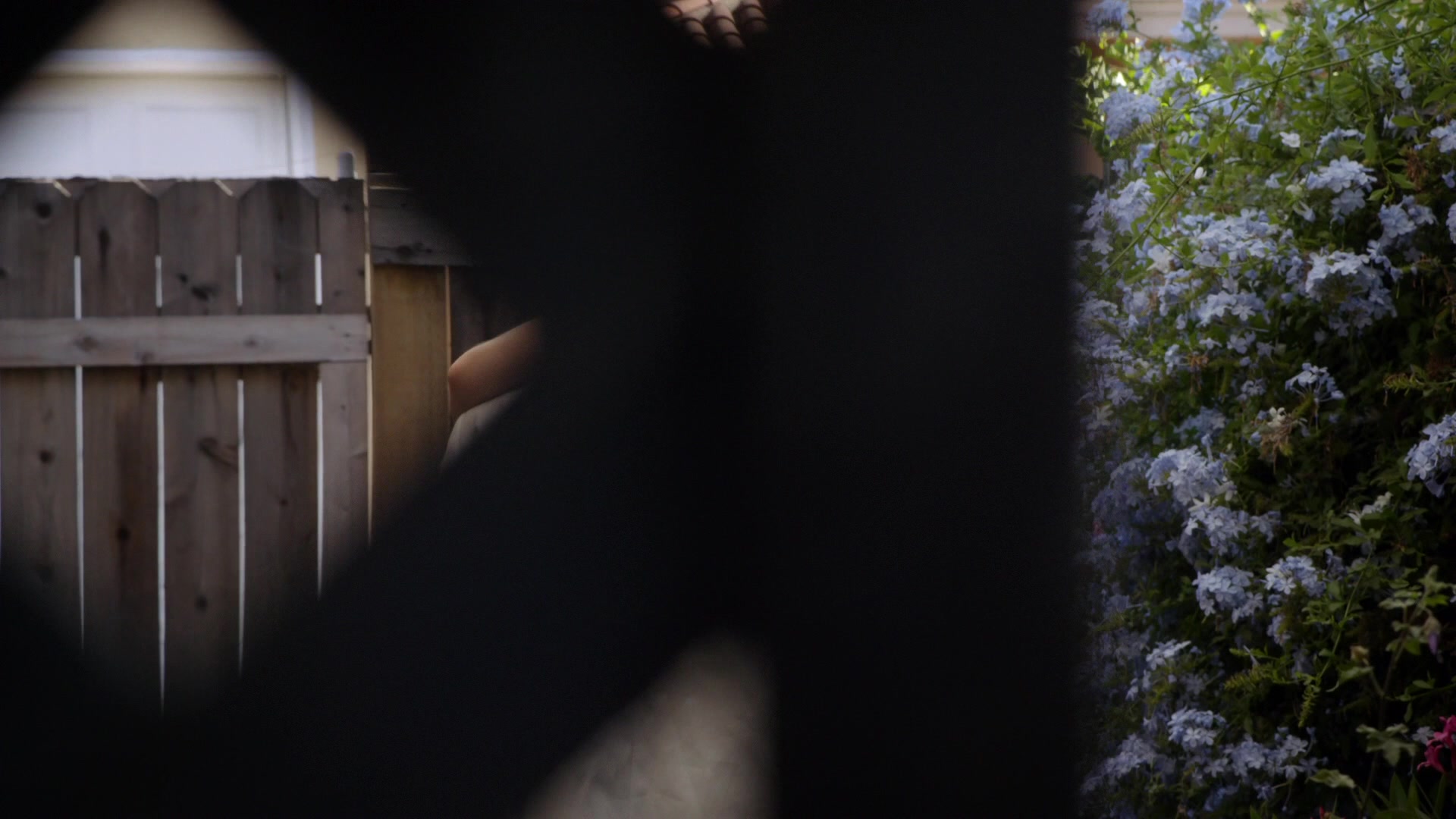 TF_01x10_1607.jpg