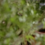 TF_01x10_0956.jpg