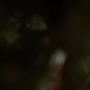 TF_01x10_1947.jpg