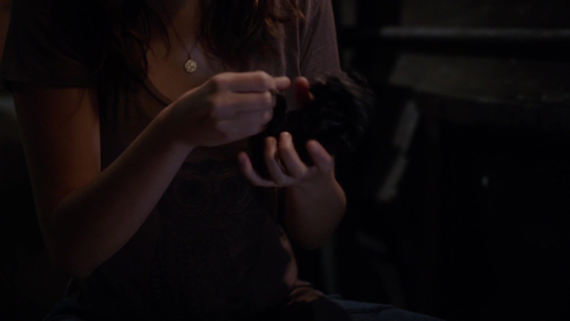 TF_01x13_1906.jpg