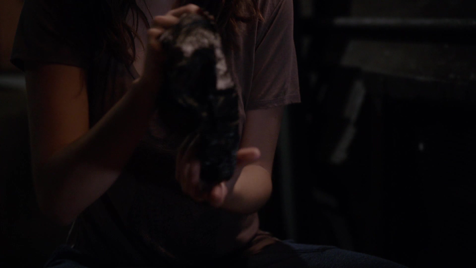 TF_01x13_1907.jpg
