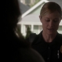 TF_01x13_1594.jpg