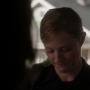 TF_01x13_1631.jpg