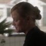 TF_01x13_1635.jpg
