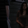 TF_01x13_1931.jpg