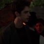 TF_02x03_0794.jpg