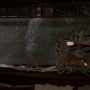 Filename=TF_02x03_1886.jpg
Filesize=297KiB
Dimensions=1920x1080
Date added=Oct 15, 2021 TF_02x03_1886.jpg