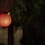 TF_02x03_1966.jpg