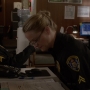 TF_02x05_0495.jpg