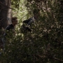 TF_02x05_0962.jpg