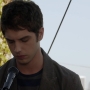 TF_02x10_1548.jpg