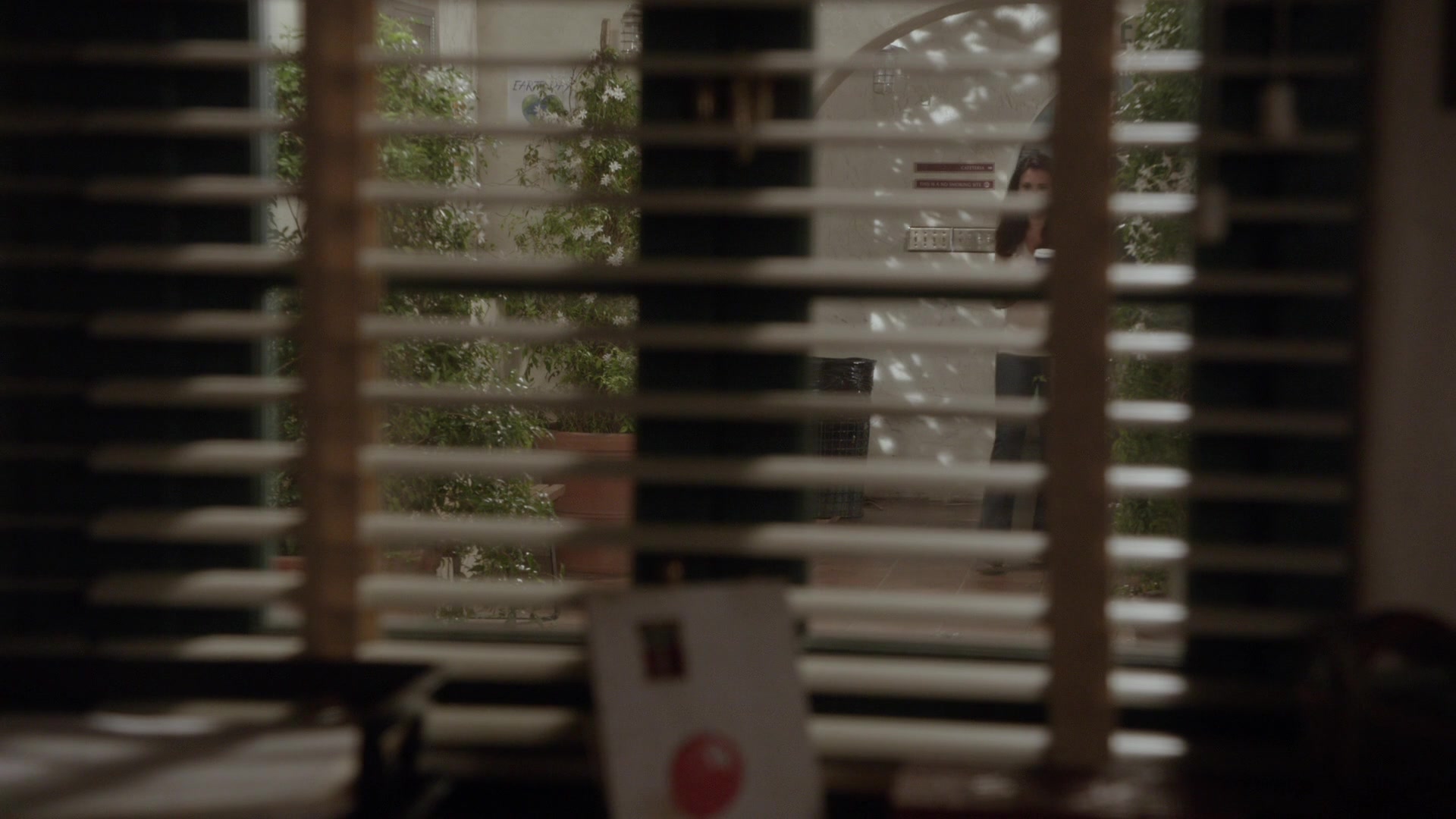 TF_02x15_1917.jpg