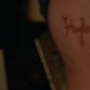 TF_02x15_1149.jpg
