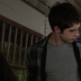 TF_02x18_0703.jpg