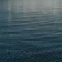 TF_03x02_1378.jpg