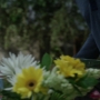 TF_03x02_1478.jpg